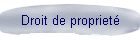 Droit de propriet