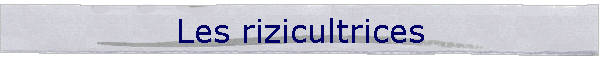 Les rizicultrices